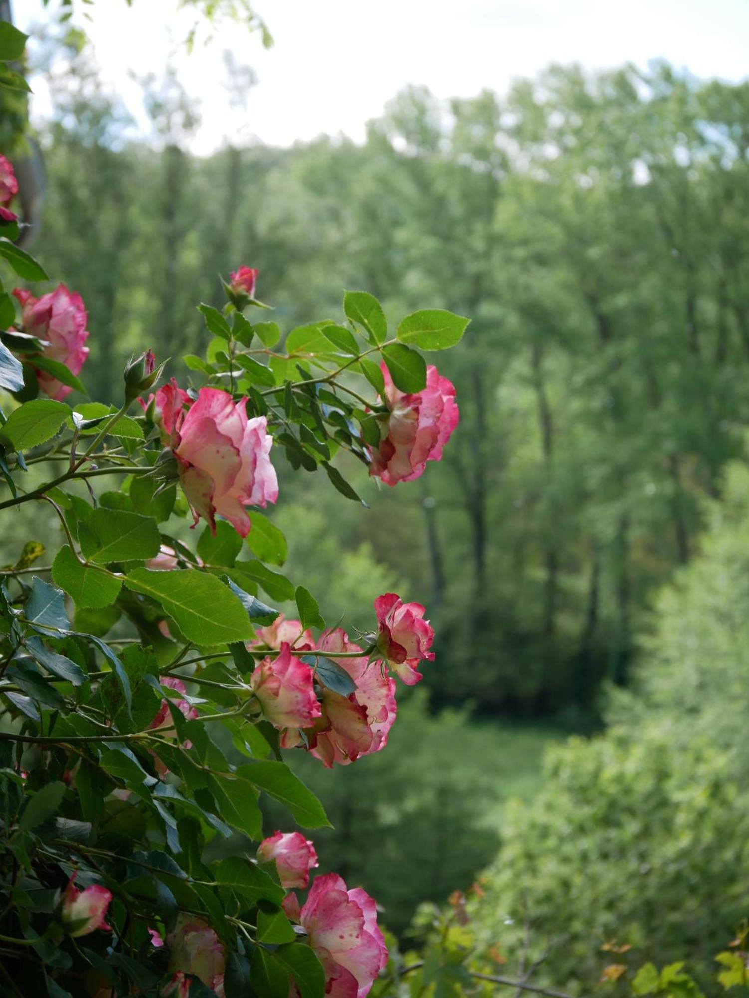 Les Jardins De Lumiere Panzió Brusque Kültér fotó